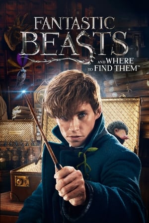Fantastic Beasts and Where to Find Them 2016 Dual Audio (Hindi) [1.1 GB] Movie Poster