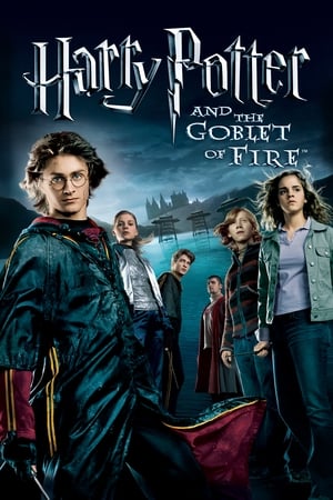 Fire & Ice (2008) Hindi Dual Audio 300MB Movie Poster
