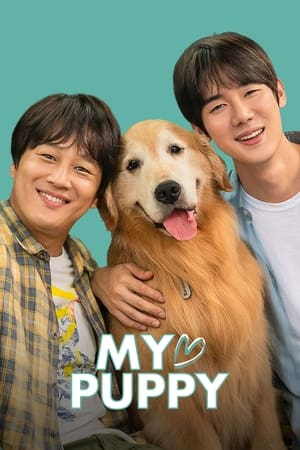 My love puppy (2022) Hindi Dual Audio – Movie Poster