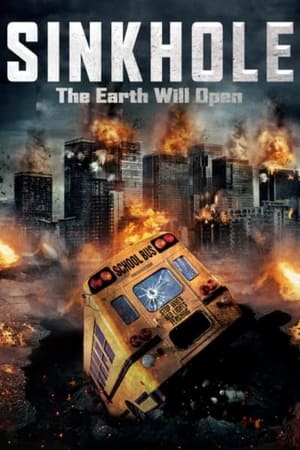 Sink Hole 2013 Hindi Dual Audio [1GB] Movie Poster